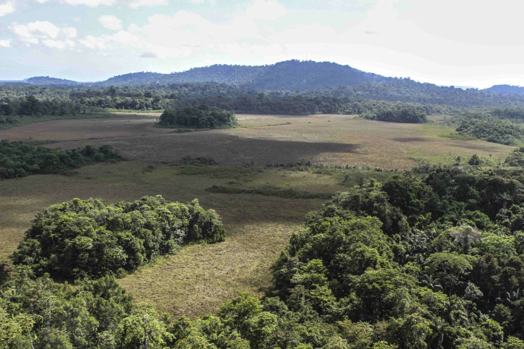 Matoury — GRACIA LOCATION (2/6)