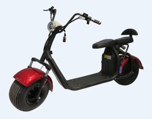 Citycoco Scooter électrique
