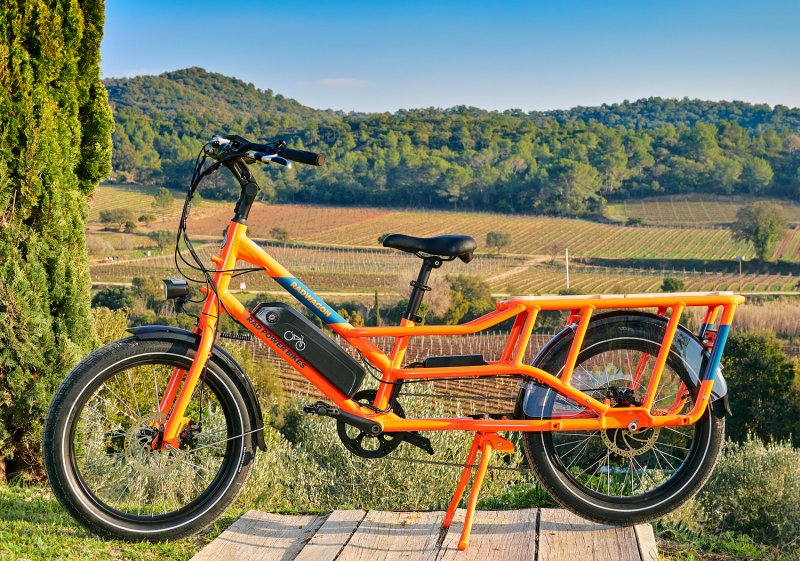 Rad Power Bikes Rad Wagon 4 (kit passager 1 ou 2 personnes en option)
