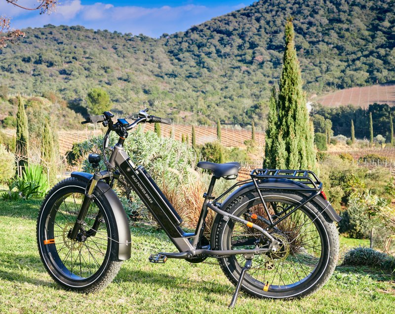 Rad Power Bikes Rad Rhino 6 plus step-thru Fatbike