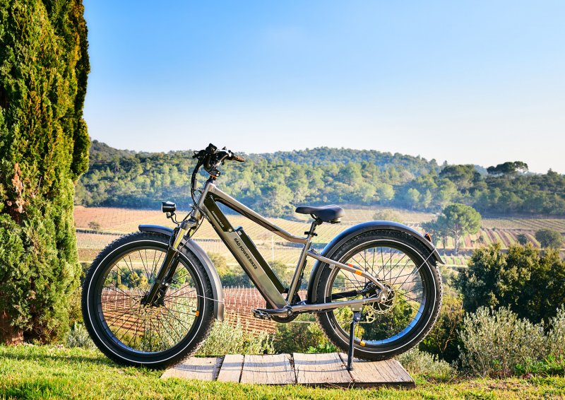 Rad Power Bikes Rad Rhino 6 plus Fatbike
