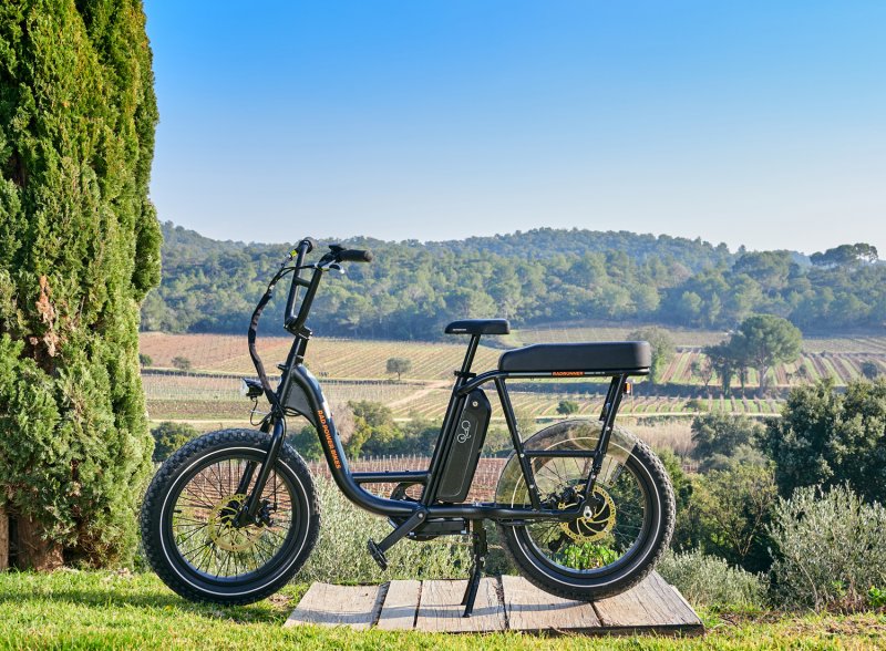 Rad Power Bikes Rad Runner (kit passager en option)