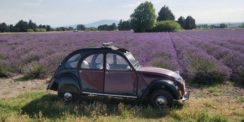 Citroën Charlotte (Charleston Rouge et Noire)