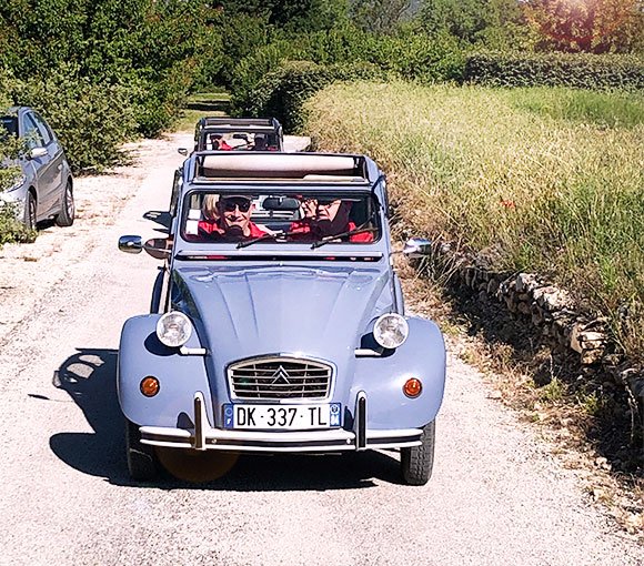 Citroën Estelle (2CV Bleue)