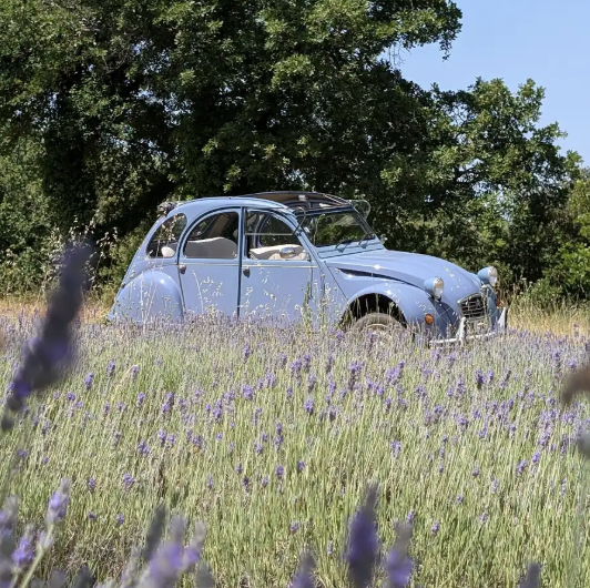 Citroën Hortense (Bleue)