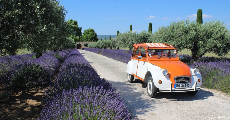 Citroën Irène (Orange et Blanche)