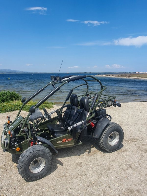 TGB PGO BUG RIDER 150