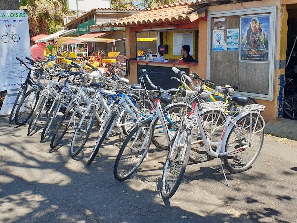 Torpado vélo 24"
