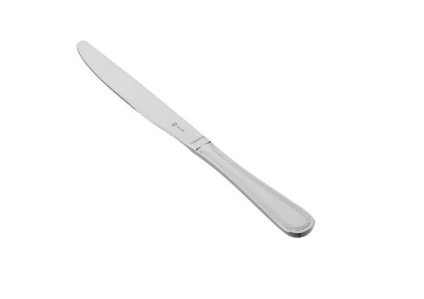 Lot 10 couteaux inox