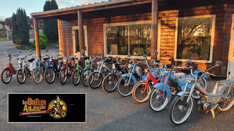 Mobylette Motobecane / Peugeot