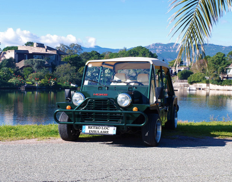 Mini Mini-Moke