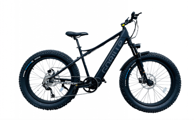 Gorille Fat Bike