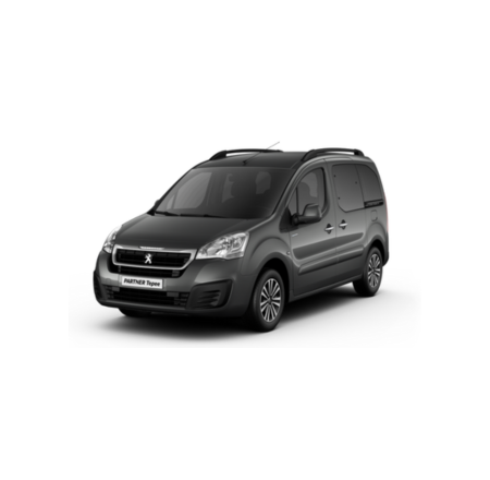 Peugeot Tepee