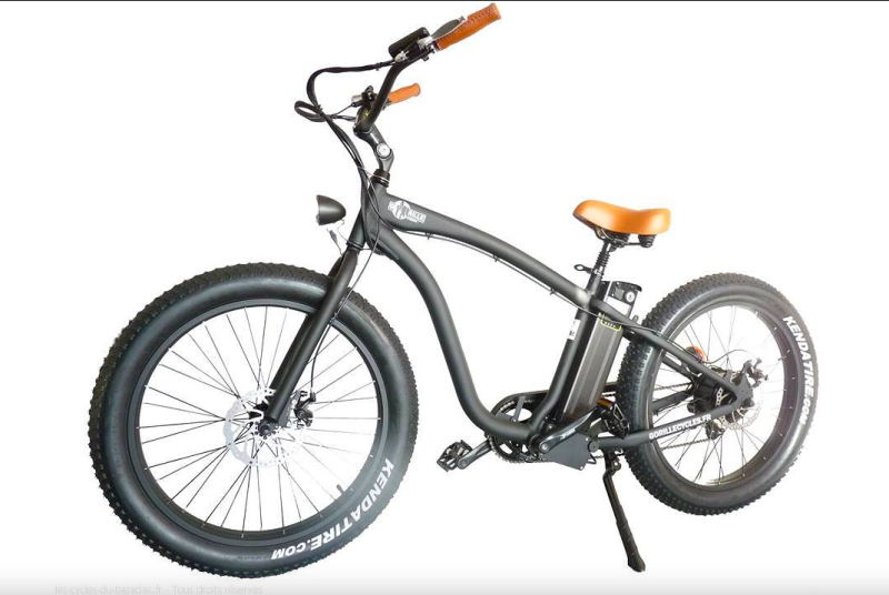 Gorille Fat bike