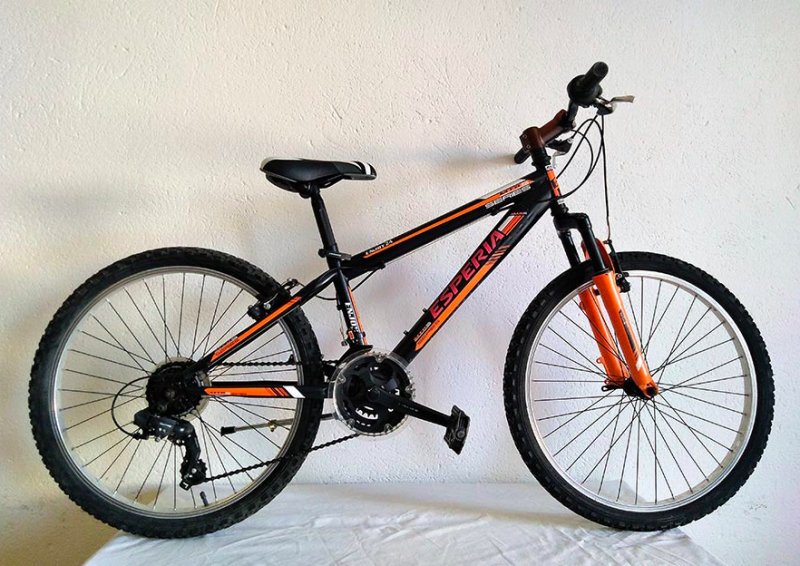 Esperia Vélo musculaire