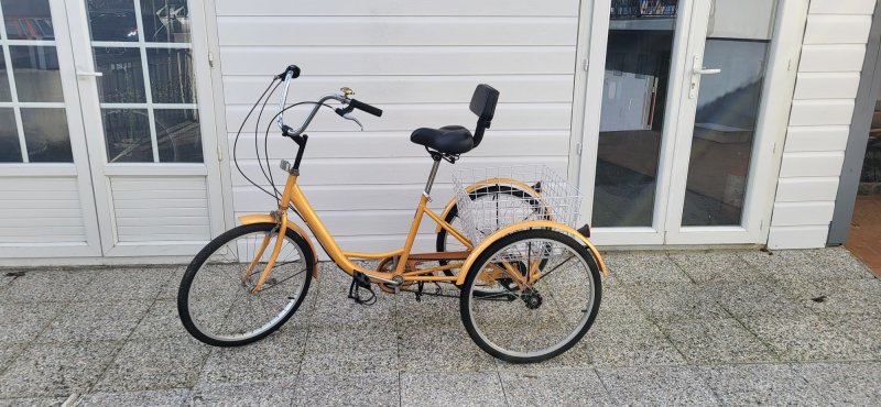  41 - tricycle orange musculaire