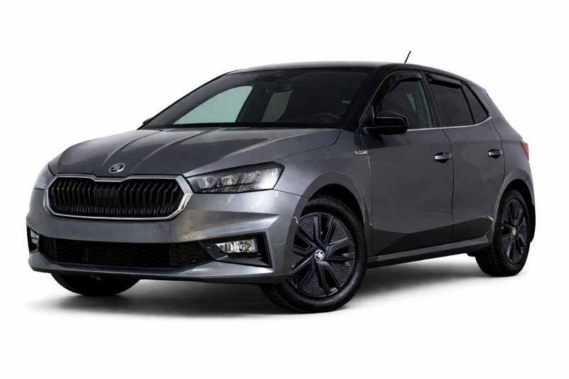 Skoda Fabia Gris Foncé - Manuelle