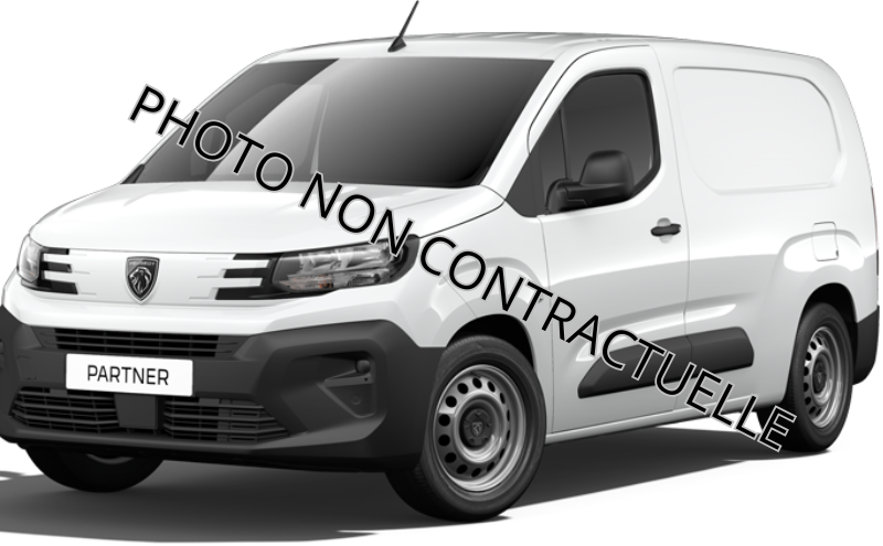 Renault Partner Tepee