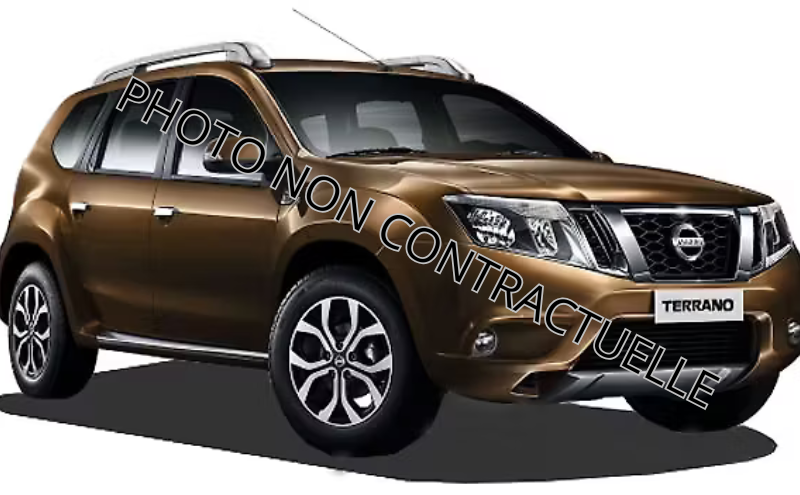 Nissan Terrano - Vert