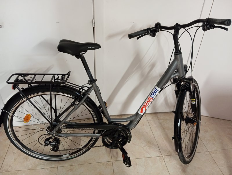 Winora Vélo tous chemins panier Musculaires