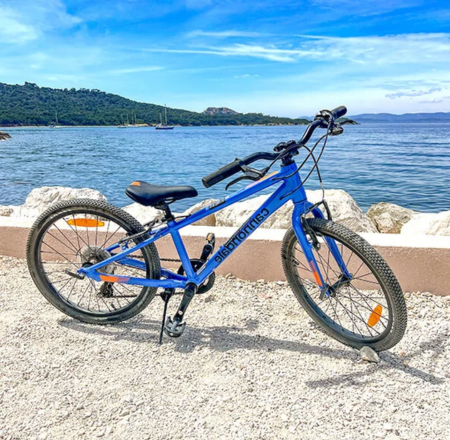  VTT enfant 20 pouces