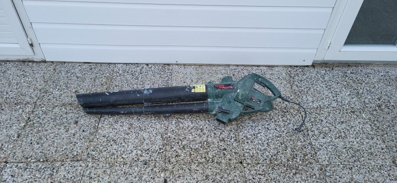 Souffleur de feuilles électrique