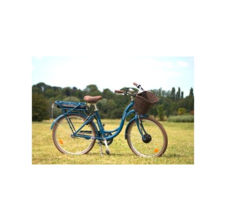  Vélo électrique