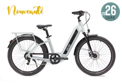 Arcade Gaby Vintage 26'' Mixte