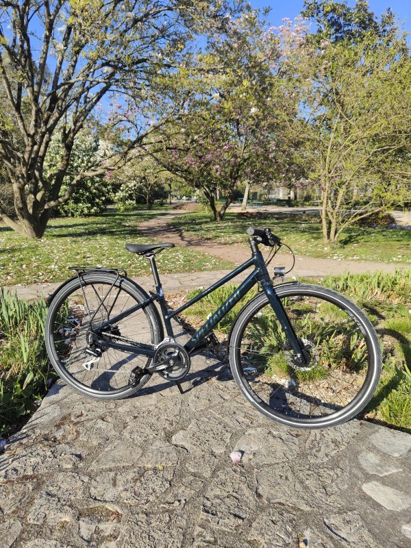 Specialized VTC Cadre Mixte (XS)