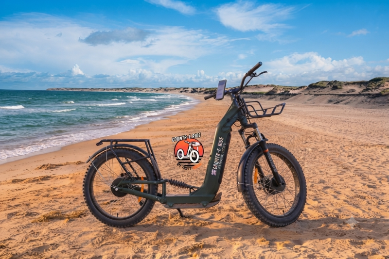 Trottinette Tout Terrain BI-MOTEUR avec batteries intégrées