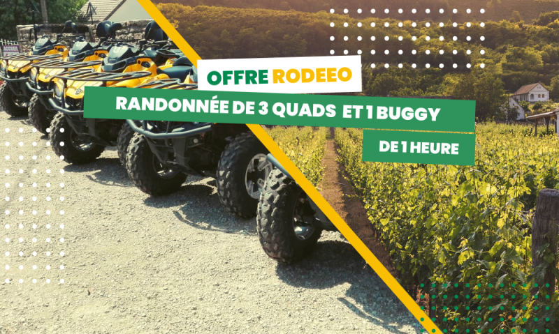 BRP Can Am RANDO 1H - 3 QUADS 1 BUGGY