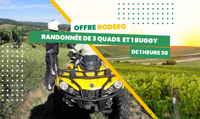 BRP Can Am RANDO 2H - 3 QUADS 1 BUGGY