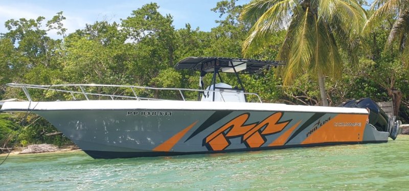  Pro-line boat